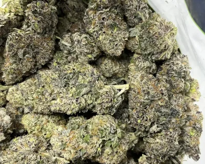 CELESTIAL GELATO LSO (LIMITED SALE) - Image 2